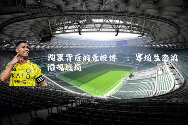 购票背后的竞技博弈:赛场生态的微观战场